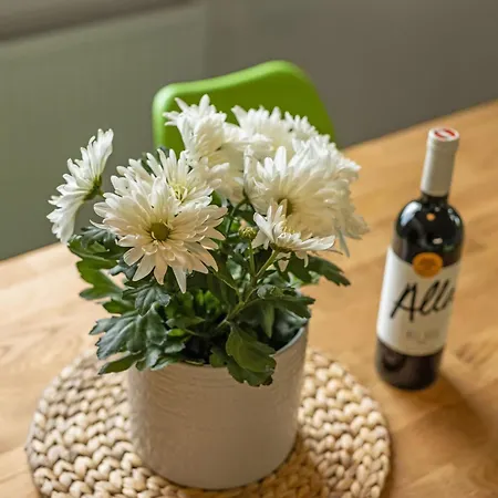 Apartmán Na-home Melcherhof *