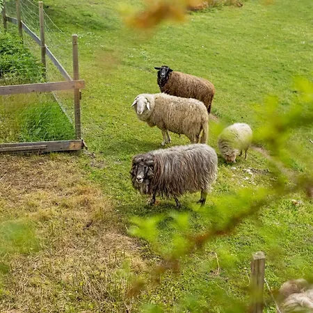 Na-home Melcherhof アパート