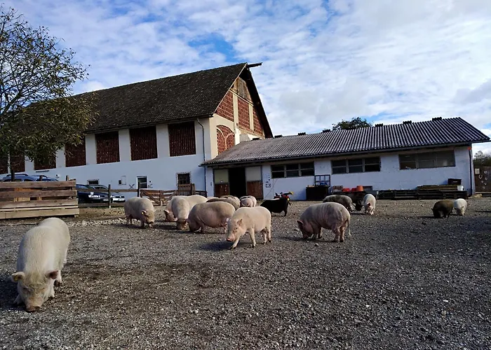 Apartament Na-home Melcherhof Grafenstein